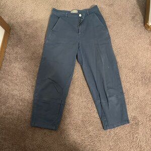 Everlane Utility Barrel Pant